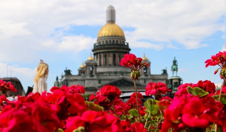 Red flowers in the foreground with the golden dome of St. Isaac's Cathedral in St. Petersburg behind.