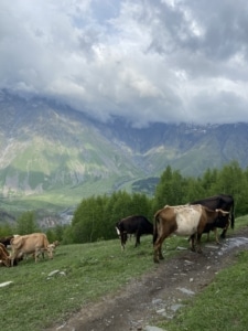 Faculty led custom tours to the Caucasus
