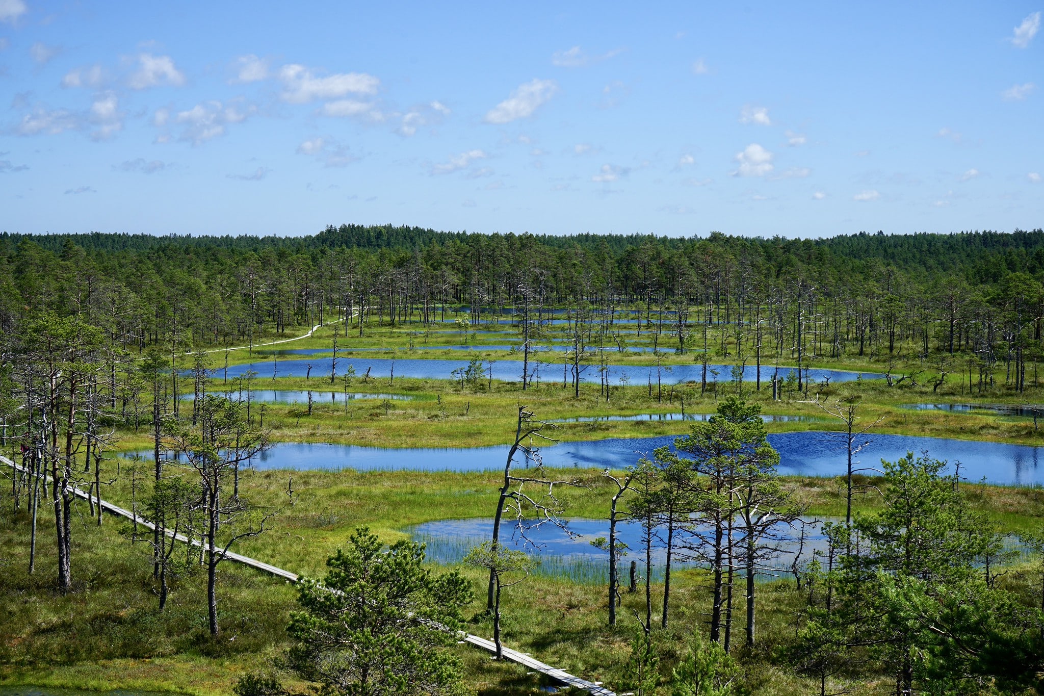 Lahemaa National Park Estonia